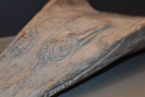 SEPIK RIVER CROCODILE CANOE PROW CARVING C1880 - ADDITIONAL PHOTO 1
