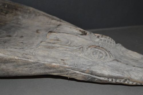 SEPIK RIVER CROCODILE CANOE PROW CARVING C1880 - ADDITIONAL PHOTO 8