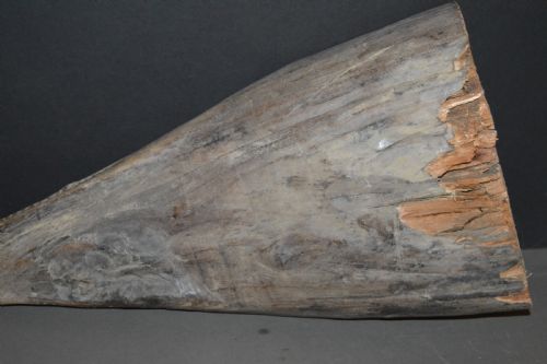 SEPIK RIVER CROCODILE CANOE PROW CARVING C1880 - ADDITIONAL PHOTO 15