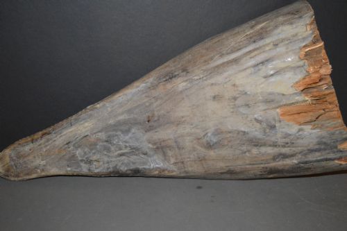 SEPIK RIVER CROCODILE CANOE PROW CARVING C1880 - ADDITIONAL PHOTO 16