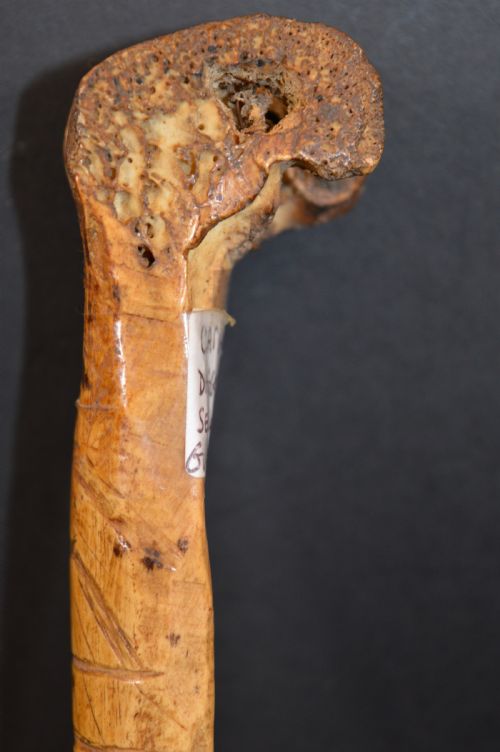 TRIBAL SEPIK RIVER CASSOWARY BONE DAGGERC1890 - ADDITIONAL PHOTO 11