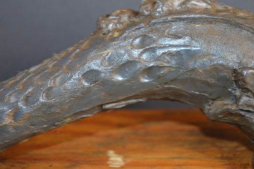 HAND CARVED FISH SEA CREATUREC1780 - ADDITIONAL PHOTO 5