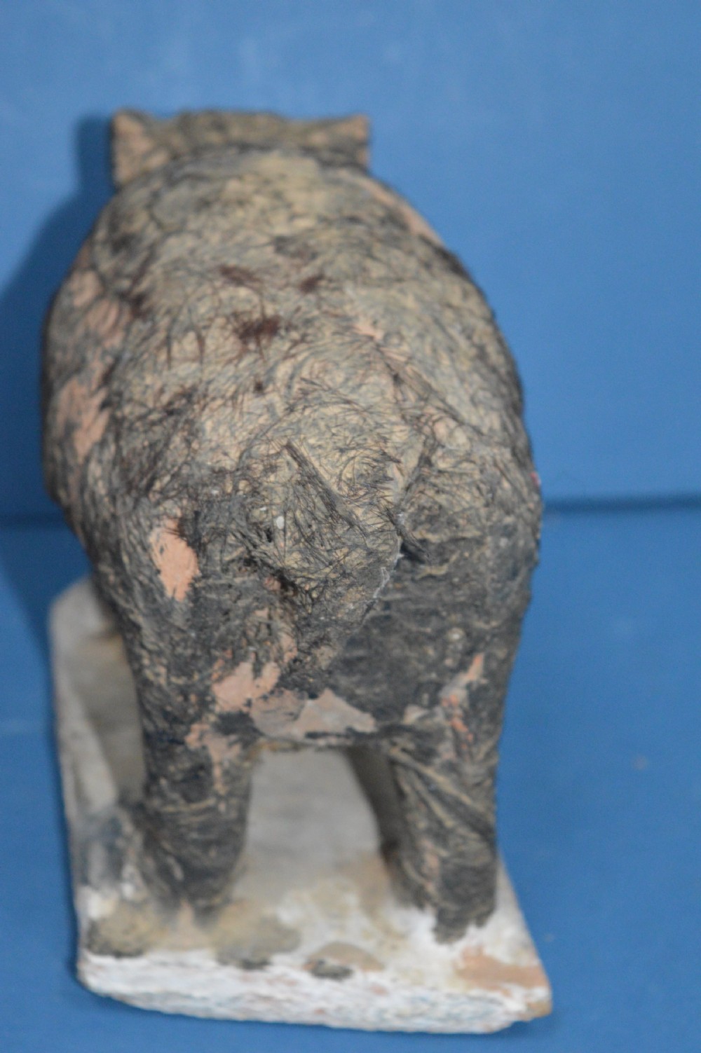 19th Century African Fetish Pig,Congo,1890 View IV