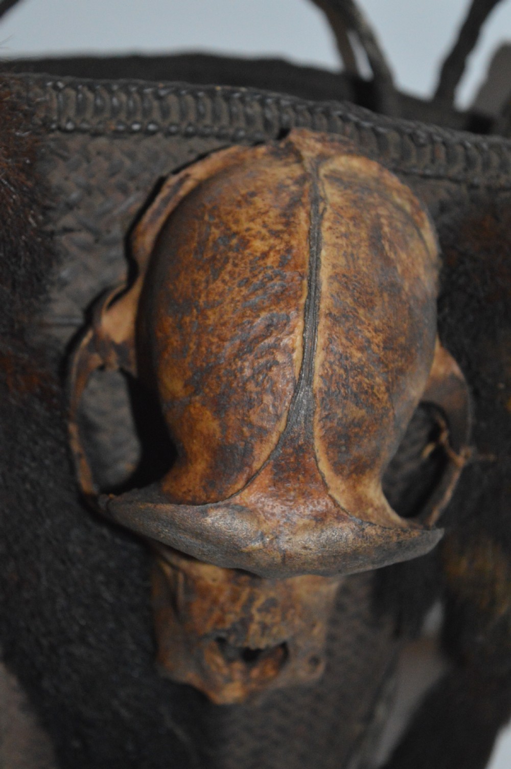 Dayak Headhunters Basket, c 1920,Monkey Head and Tail Decoration View IV