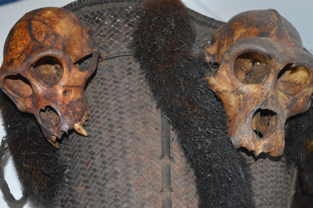 Dayak Headhunters Basket, c 1920,Monkey Head and Tail Decoration View IX