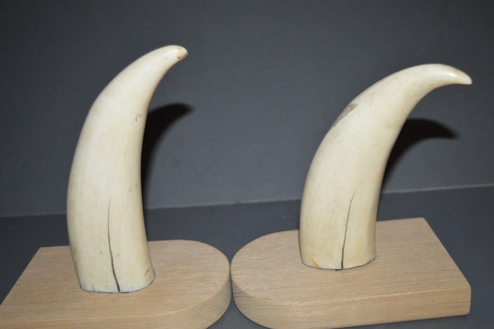 Pair 19th Century Scrimshaw Whale Teeth, c 1840 View VI