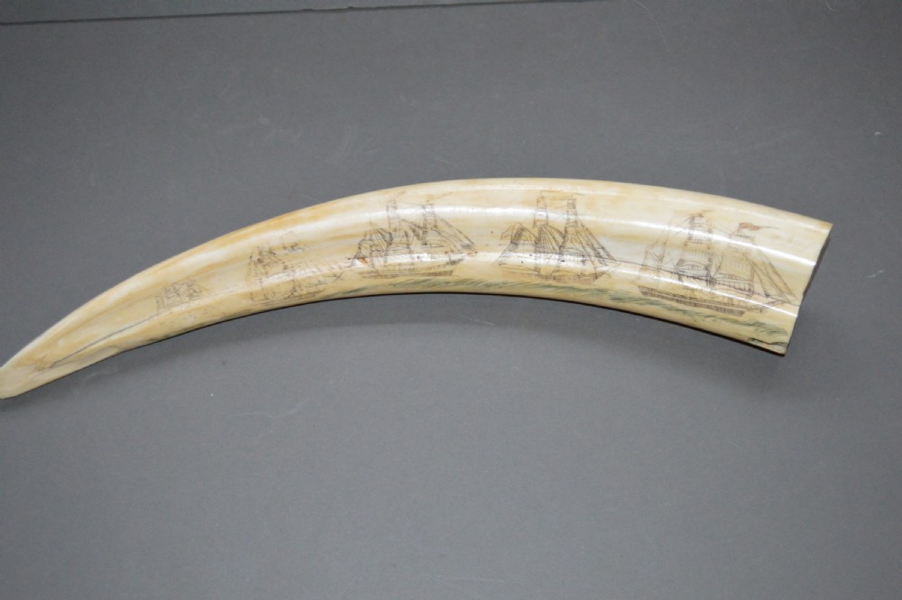 Walrus Tusk Scrimshaw,c 1860. Large 19th Century Example.