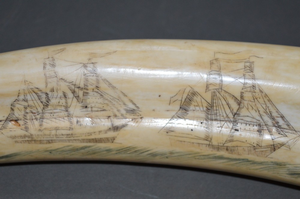 Walrus Tusk Scrimshaw,c 1860. Large 19th Century Example. View III