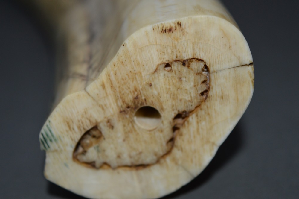 Walrus Tusk Scrimshaw,c 1860. Large 19th Century Example. View V