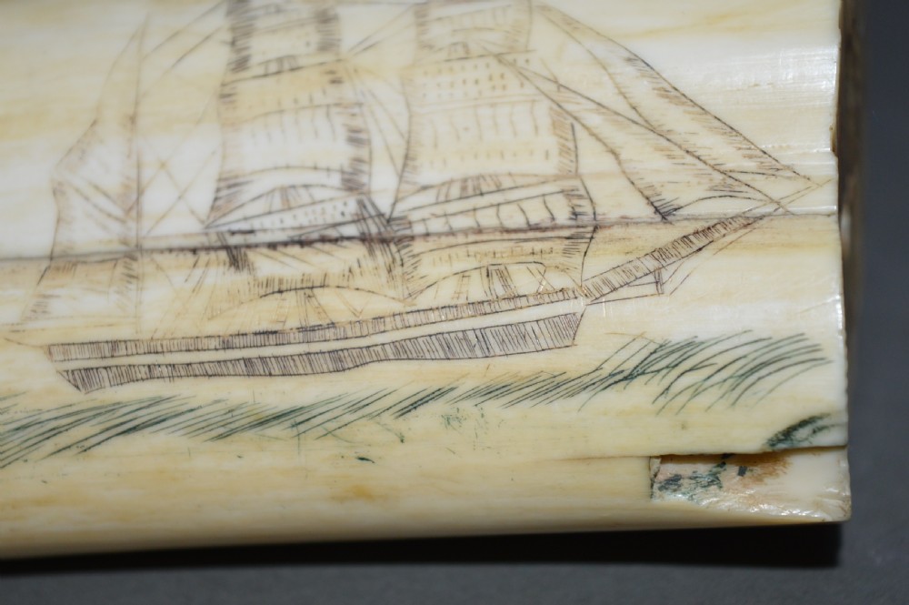 Walrus Tusk Scrimshaw,c 1860. Large 19th Century Example. View IX