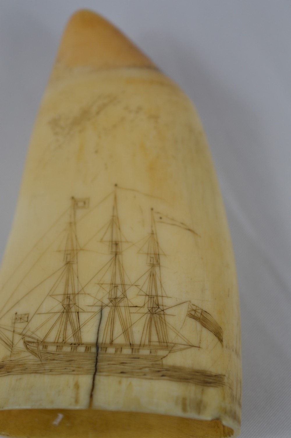 19th Century Whale Tooth Scrimshaw,c1840