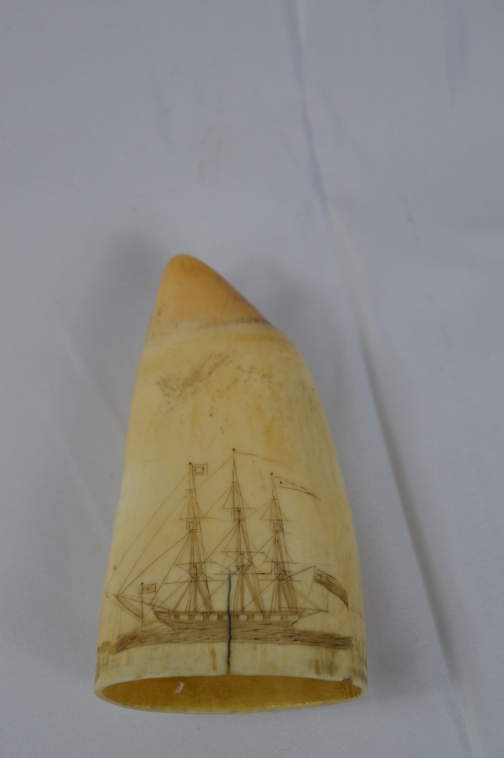 19th Century Whale Tooth Scrimshaw,c1840 View II