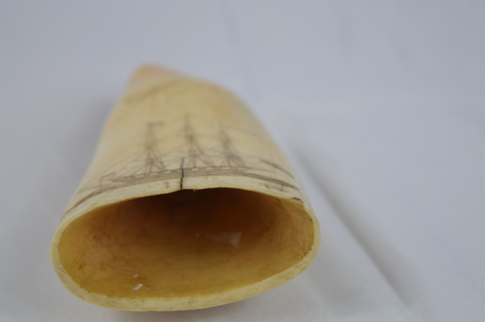 19th Century Whale Tooth Scrimshaw,c1840 View III
