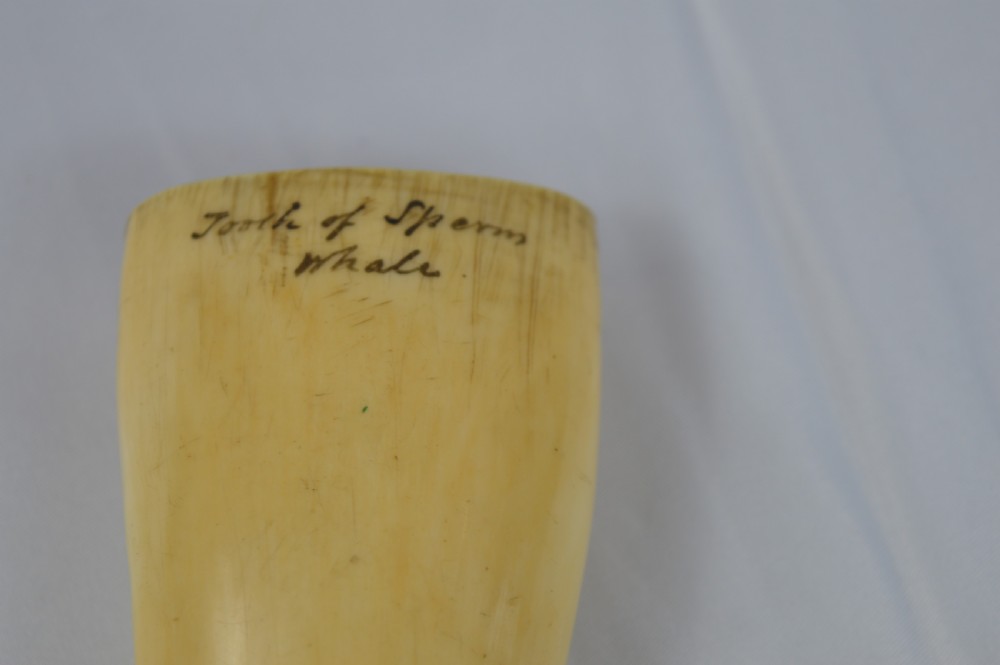 19th Century Whale Tooth Scrimshaw,c1840 View V