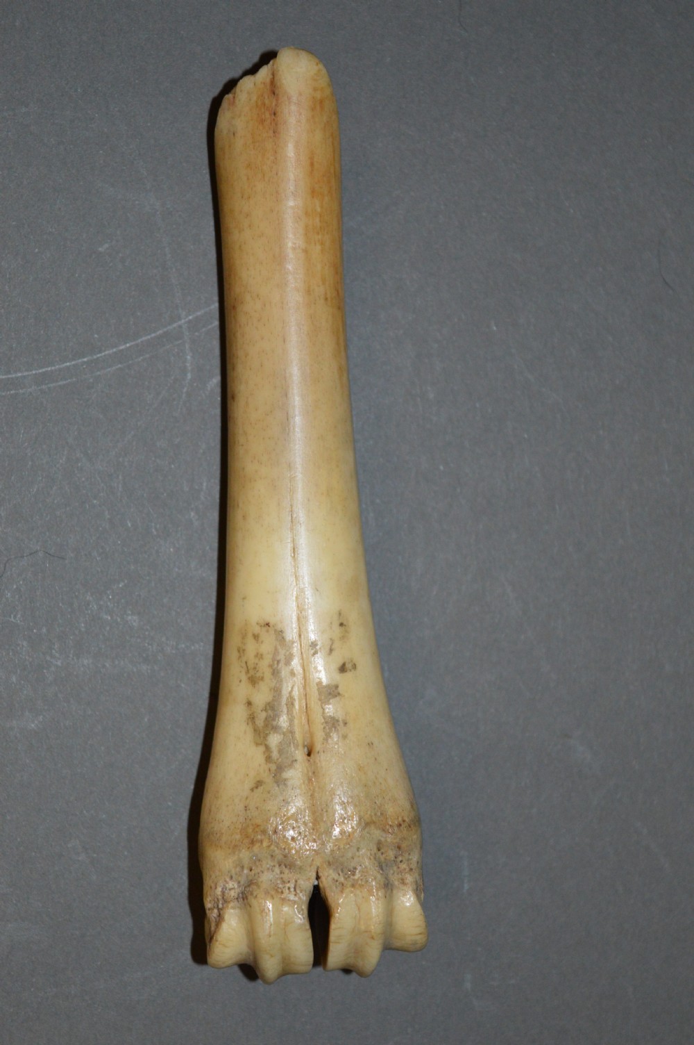 Napoleonic Prisoner Of War Bone Spoon, c 1810 View II