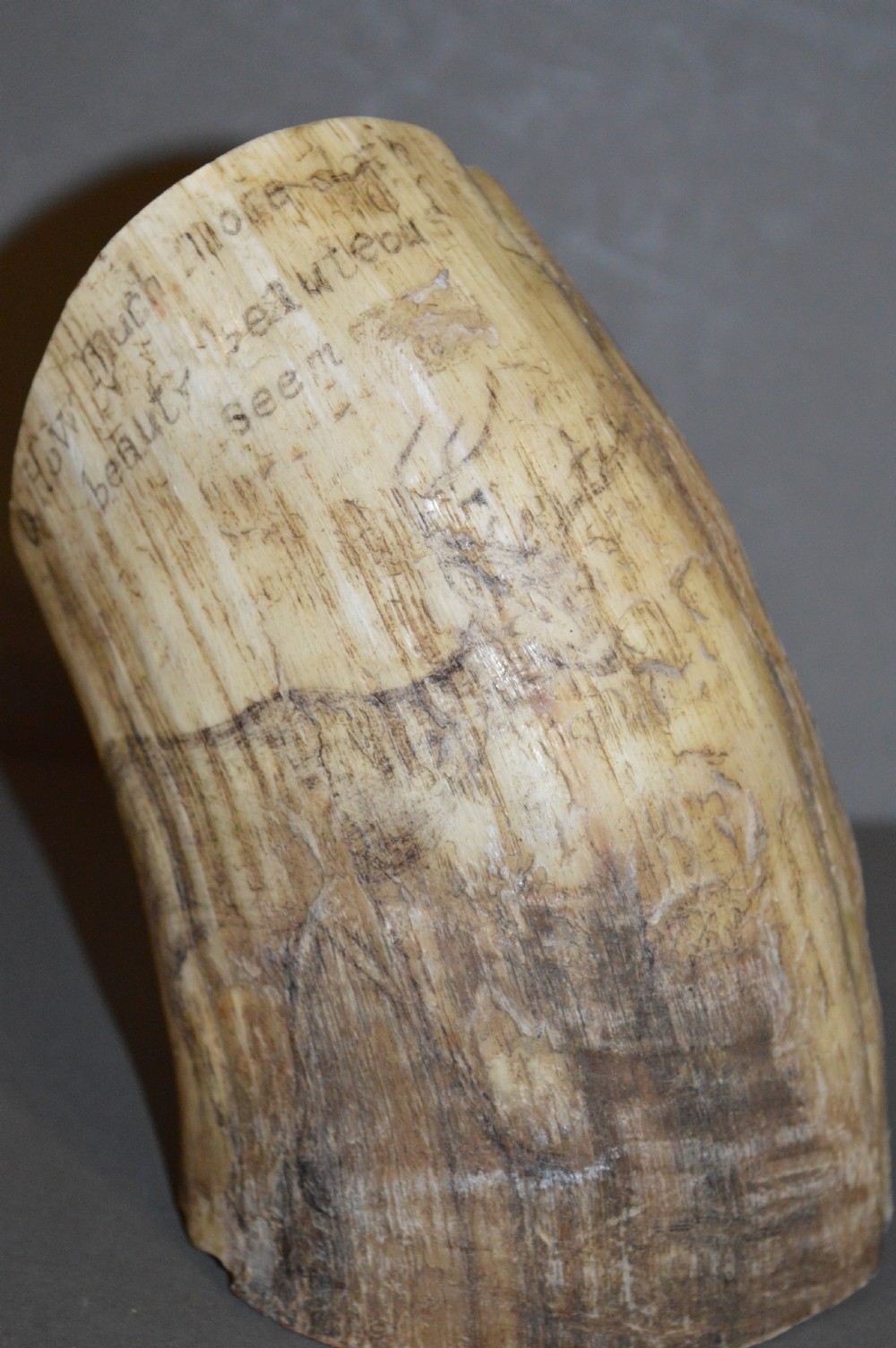 18th Century Cow Horn Scrimshaw, c1780