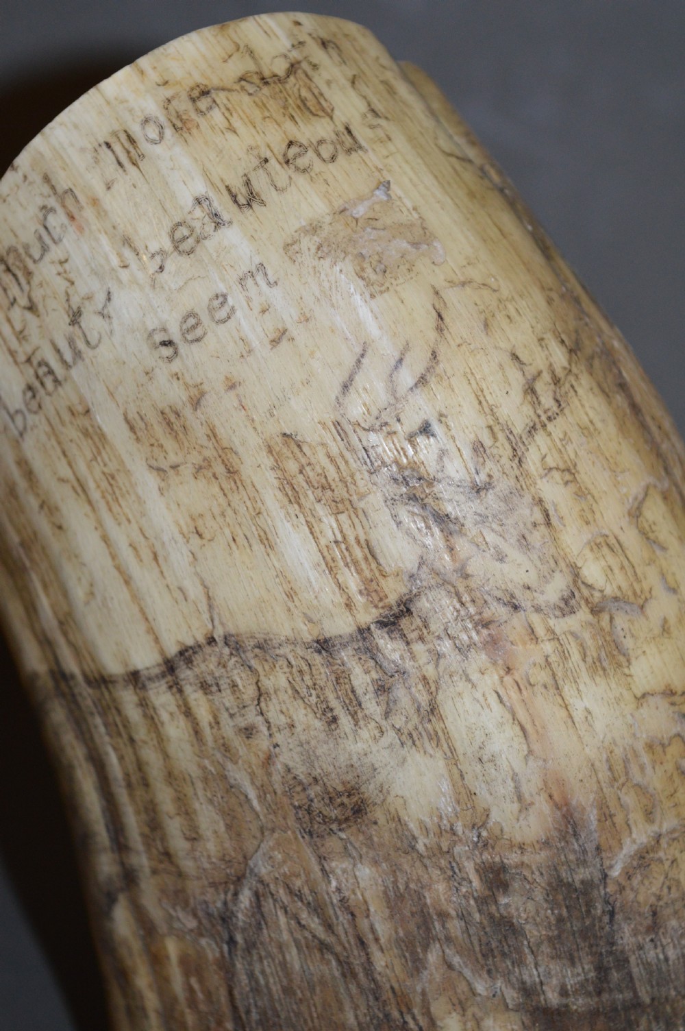 18th Century Cow Horn Scrimshaw, c1780 View II
