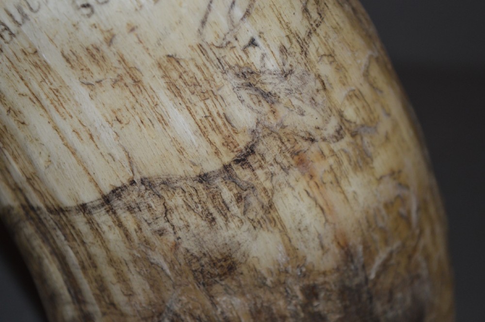 18th Century Cow Horn Scrimshaw, c1780 View IV