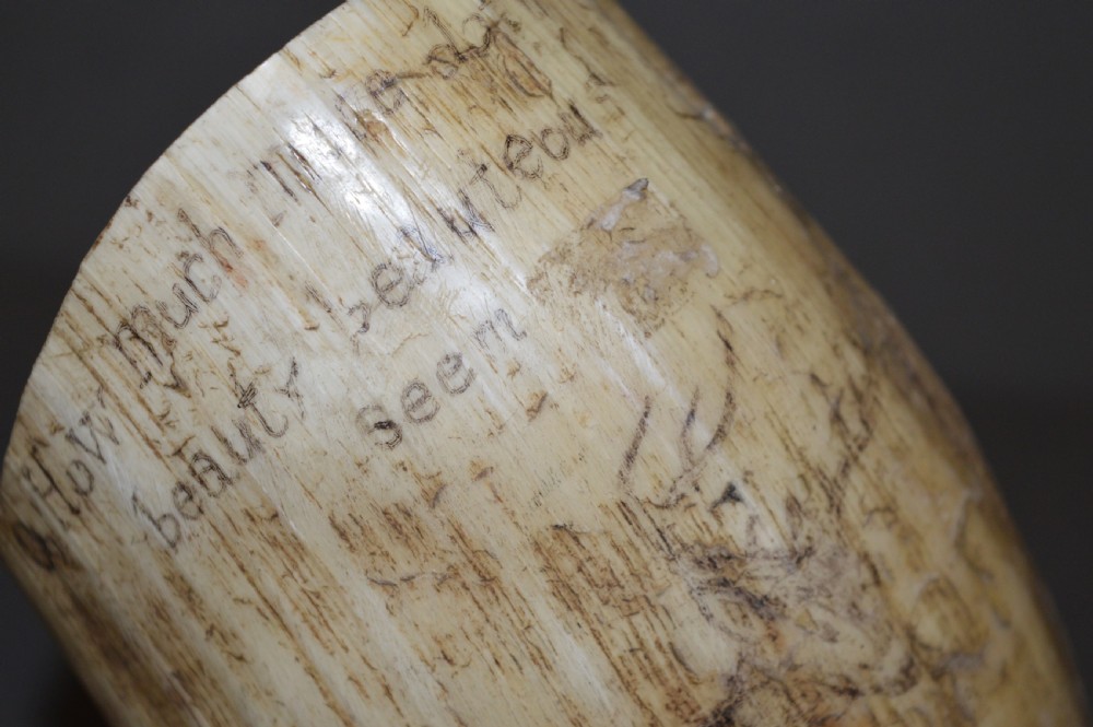 18th Century Cow Horn Scrimshaw, c1780 View V