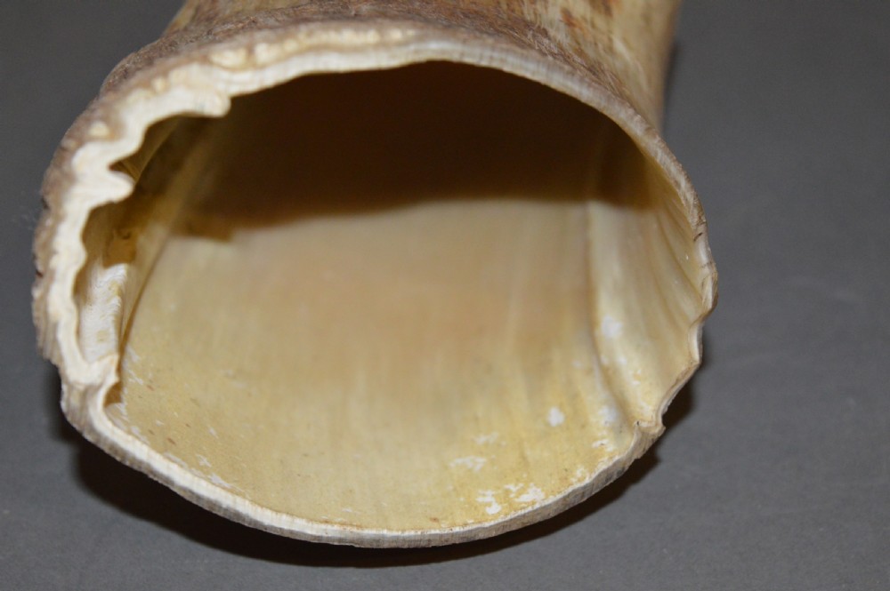 18th Century Cow Horn Scrimshaw, c1780 View VIII