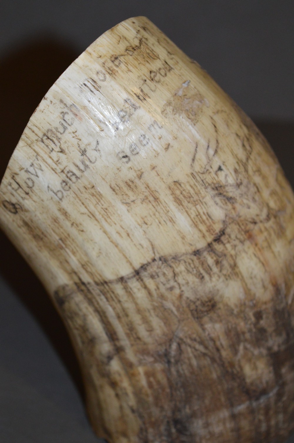 18th Century Cow Horn Scrimshaw, c1780 View XI
