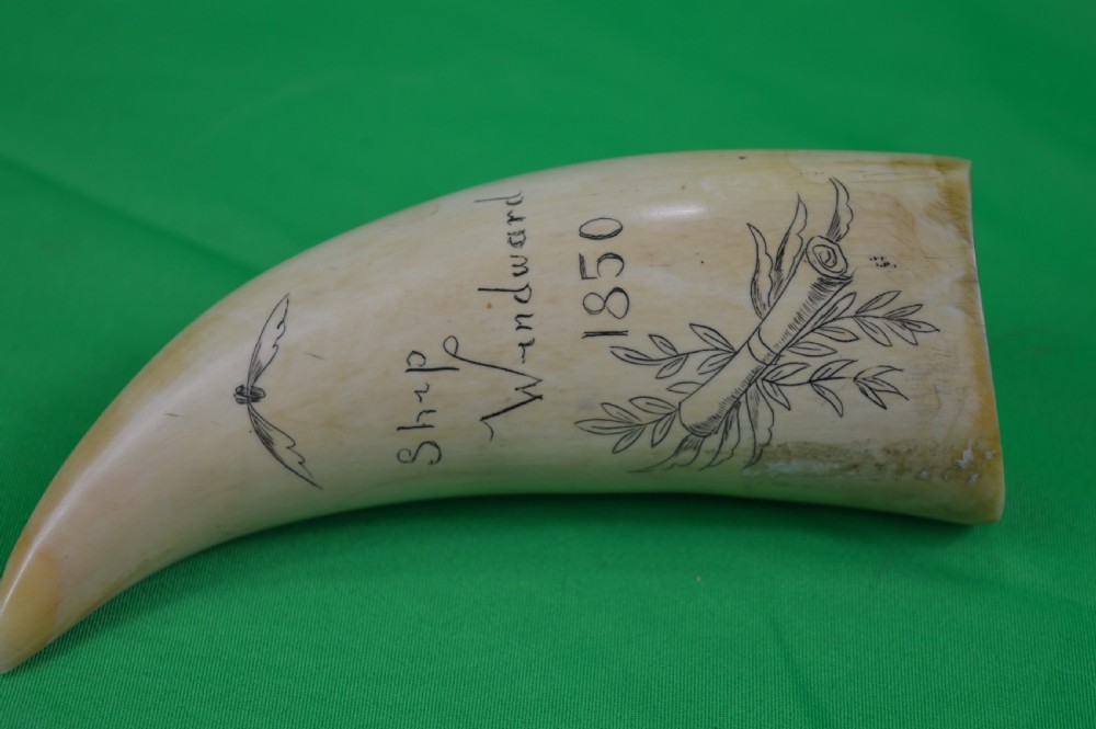 Large Whale Tooth Scrimshaw Dated 1850 View II