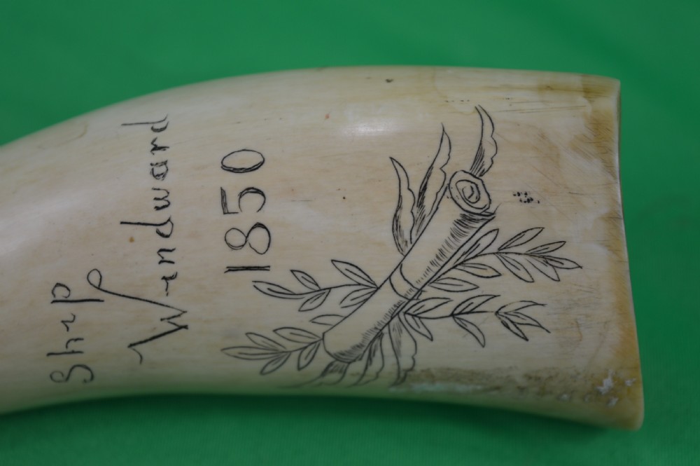 Large Whale Tooth Scrimshaw Dated 1850 View IV