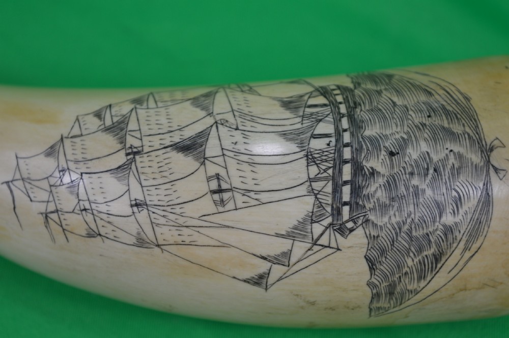 Large Whale Tooth Scrimshaw Dated 1850 View VI