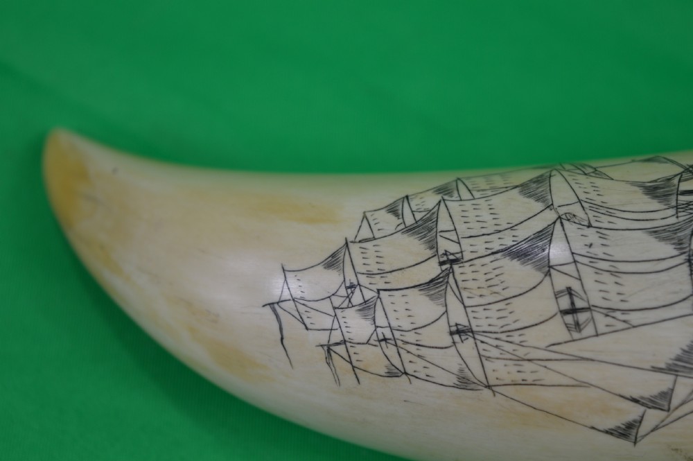 Large Whale Tooth Scrimshaw Dated 1850 View VII