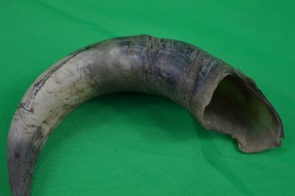 Horn Scrimshaw Native American Cherokee Interest, c1810 View III