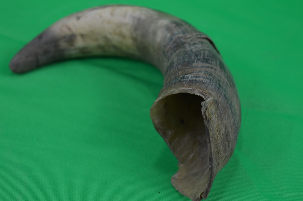 Horn Scrimshaw Native American Cherokee Interest, c1810 View V