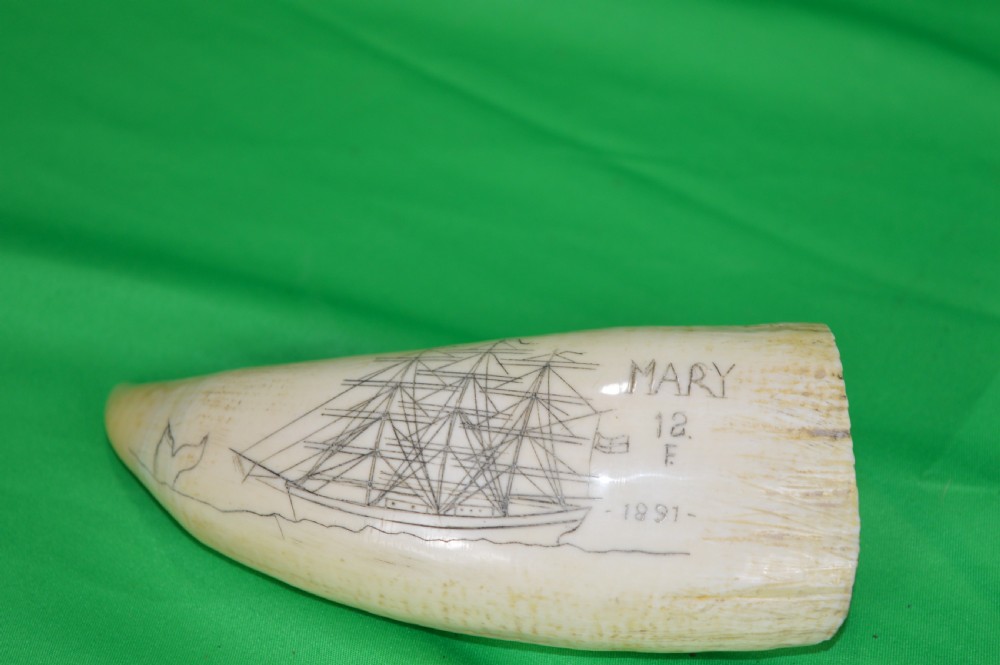 Large Whale Tooth Scrimshaw, Dated 1891, Whaling Scene