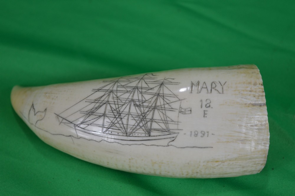 Large Whale Tooth Scrimshaw, Dated 1891, Whaling Scene View II