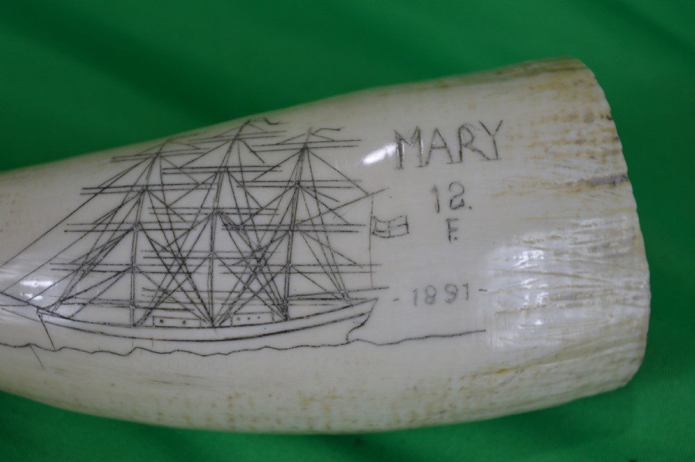 Large Whale Tooth Scrimshaw, Dated 1891, Whaling Scene View V