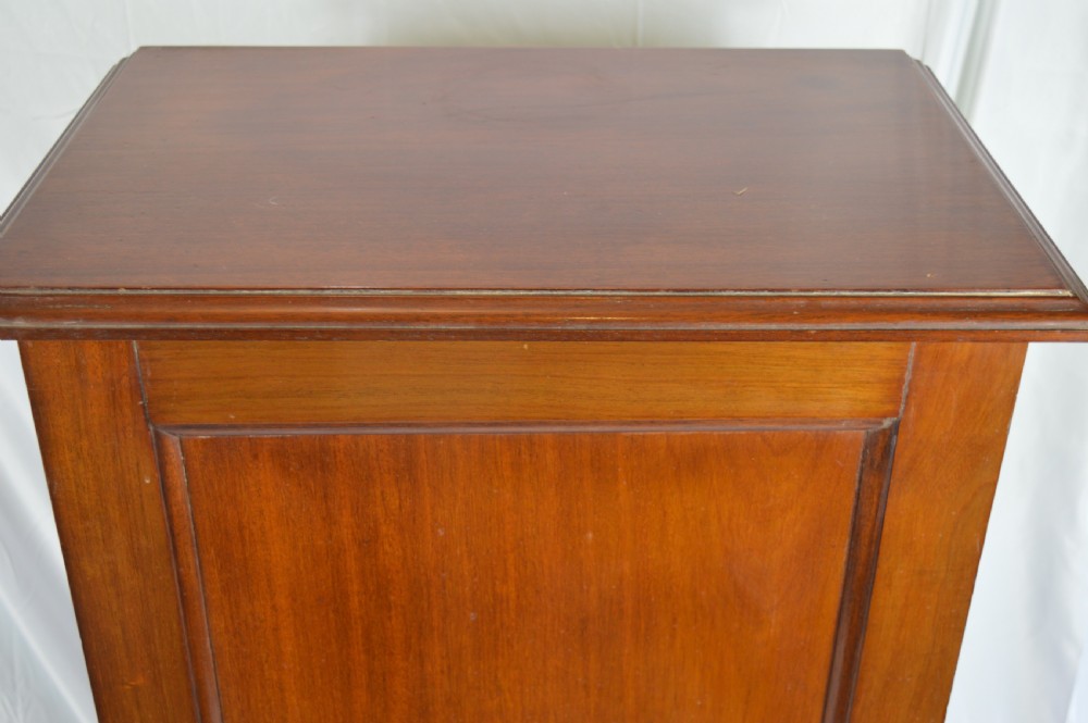 Mid 19th Century Tall Mahogany Cupboard,c1850 View III