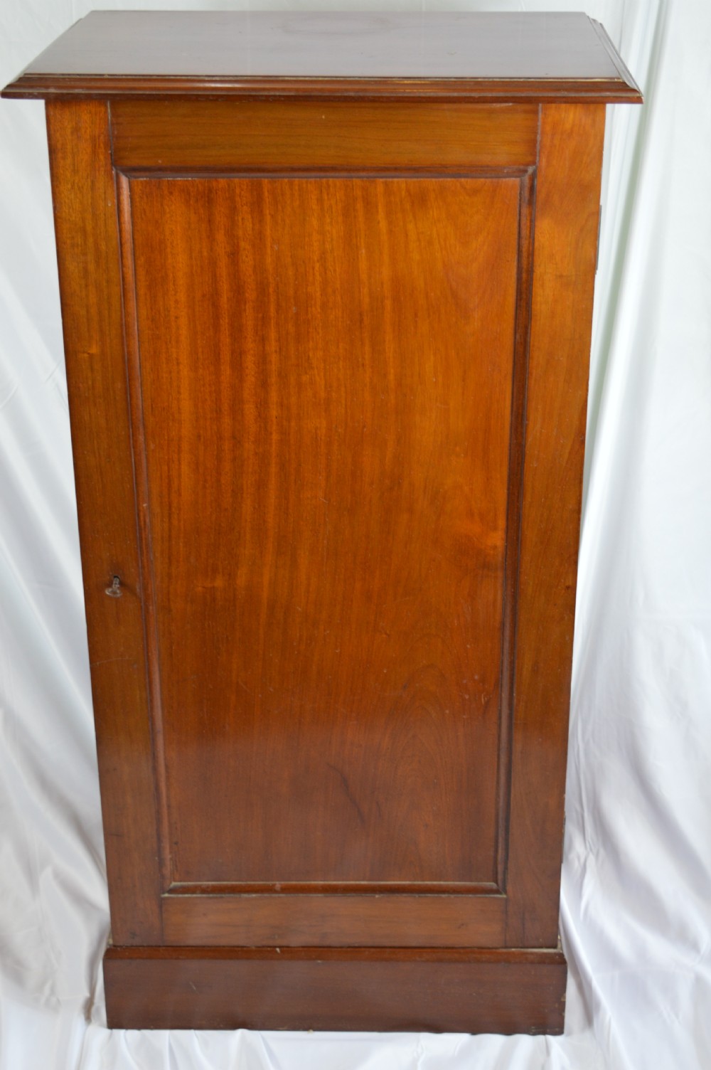 Mid 19th Century Tall Mahogany Cupboard,c1850 View VI
