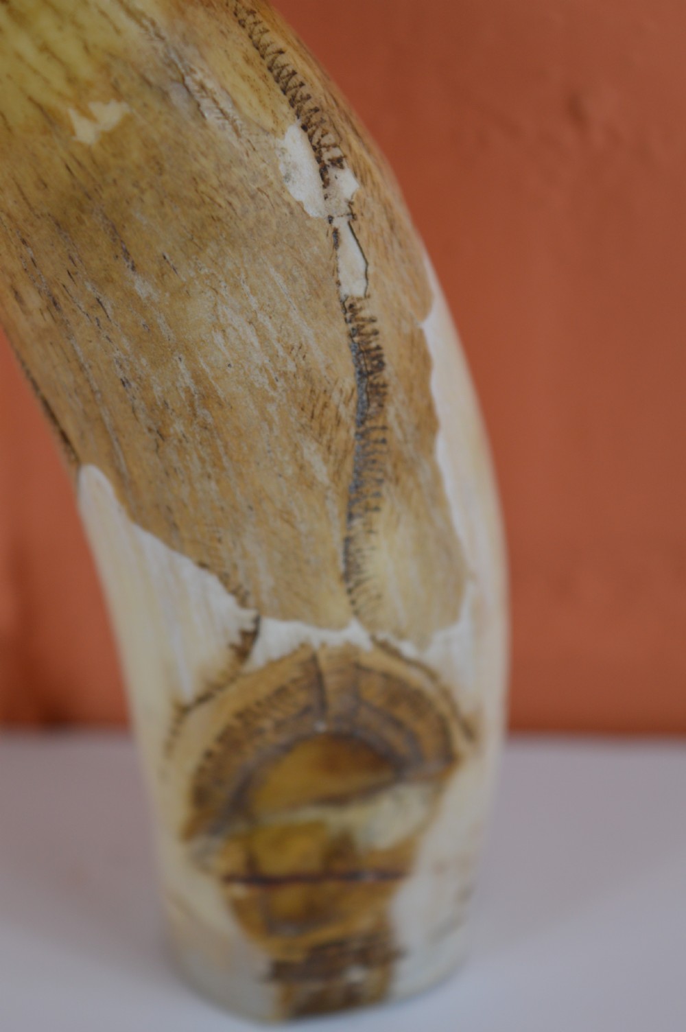 Early 19th Century Whale Tooth Scrimshaw, c1800 View V