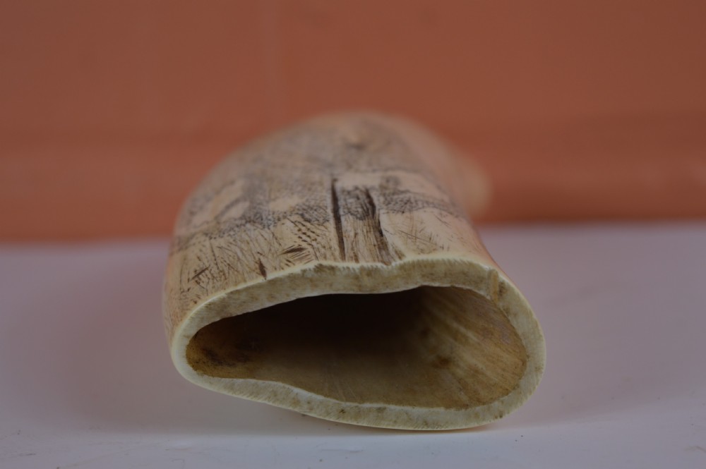 Large Whale Tooth Scrimshaw,c1880 View III
