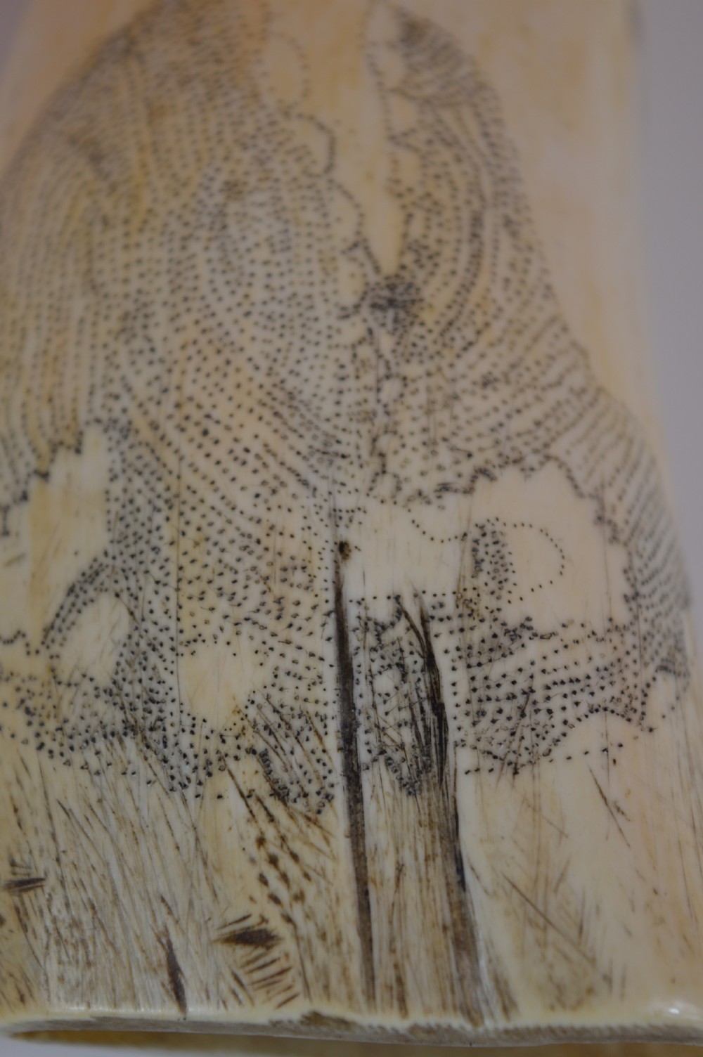 Large Whale Tooth Scrimshaw,c1880 View IV