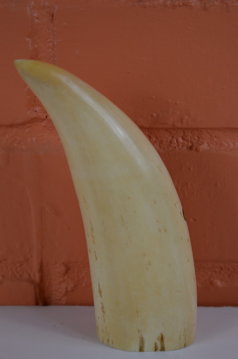 Large Whale Tooth Scrimshaw,c1880 View III