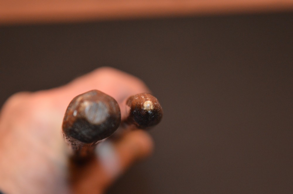 A pair of 19th-century carved Australian Aboriginal hardwood throwing clubs with pointed ends and incised dot decoration laid on a dark surface. View IX