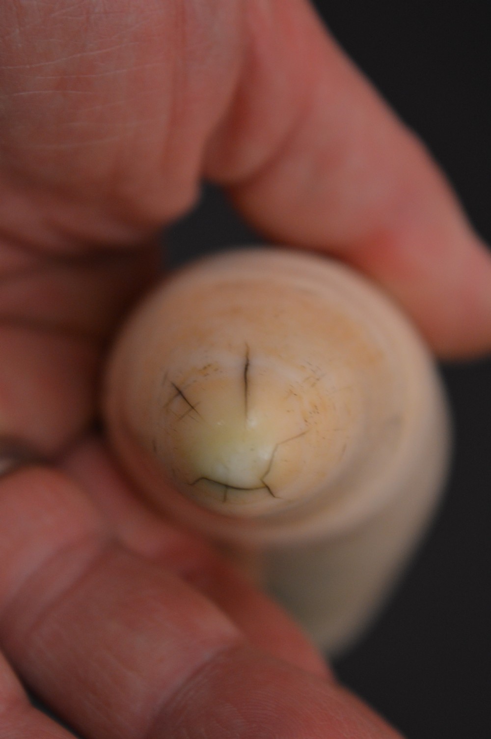 Pair Scrimshaw Whale Teeth, Bonham's Provenance, c1880 View VI