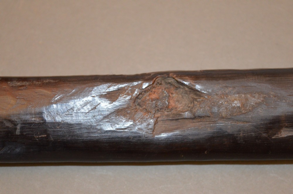 A late 19th-century Polynesian hardwood paddle club featuring a carved central ridge running along the length of its elongated blade section. View VI
