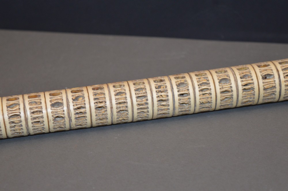 An antique Victorian walking stick featuring a shaft constructed from stacked shark vertebrae and topped with a curved dark horn handle. View III