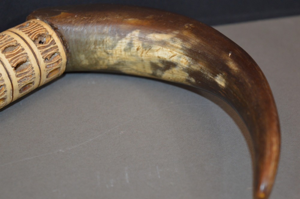 An antique Victorian walking stick featuring a shaft constructed from stacked shark vertebrae and topped with a curved dark horn handle. View V