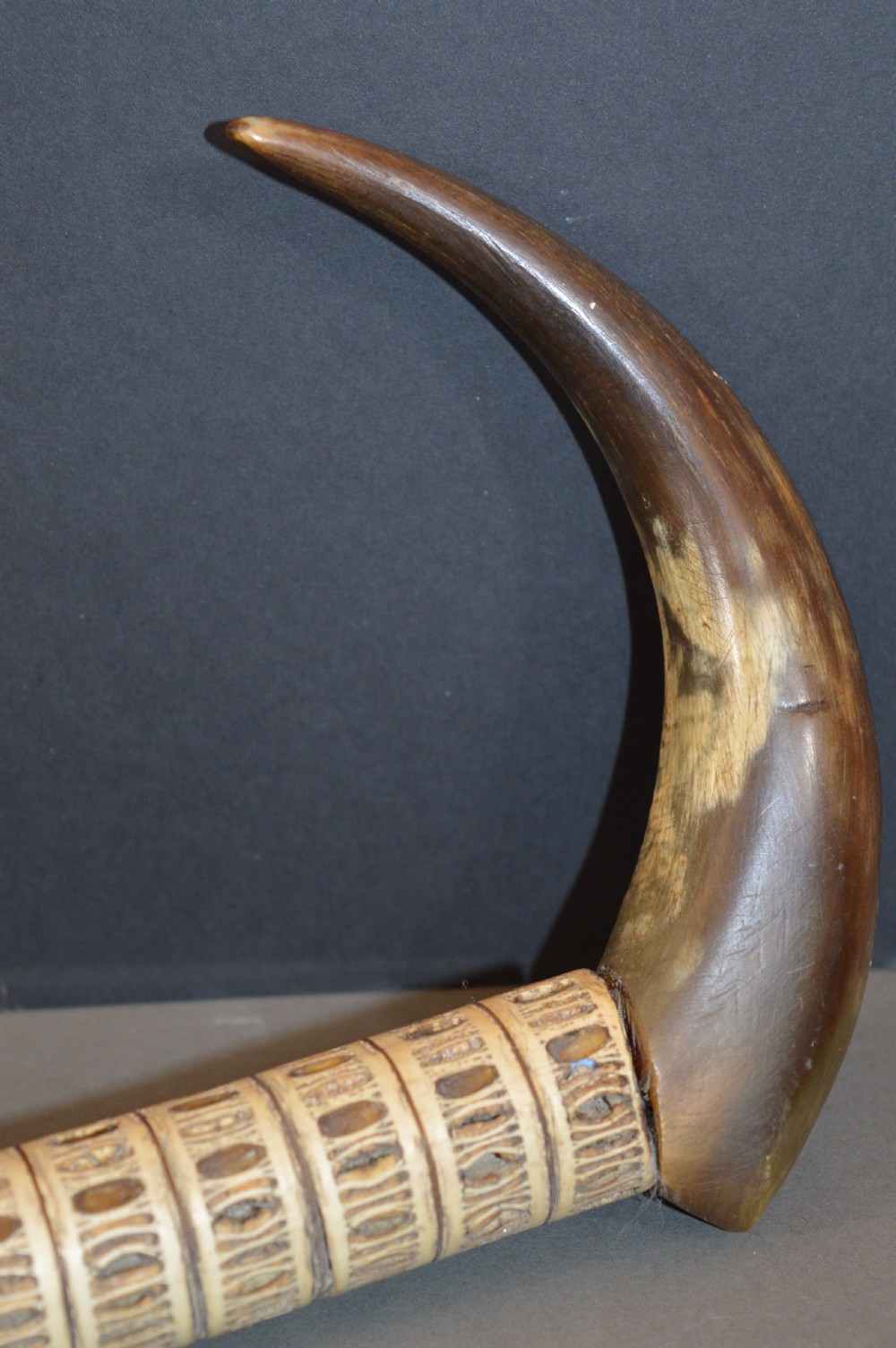 An antique Victorian walking stick featuring a shaft constructed from stacked shark vertebrae and topped with a curved dark horn handle. View VI