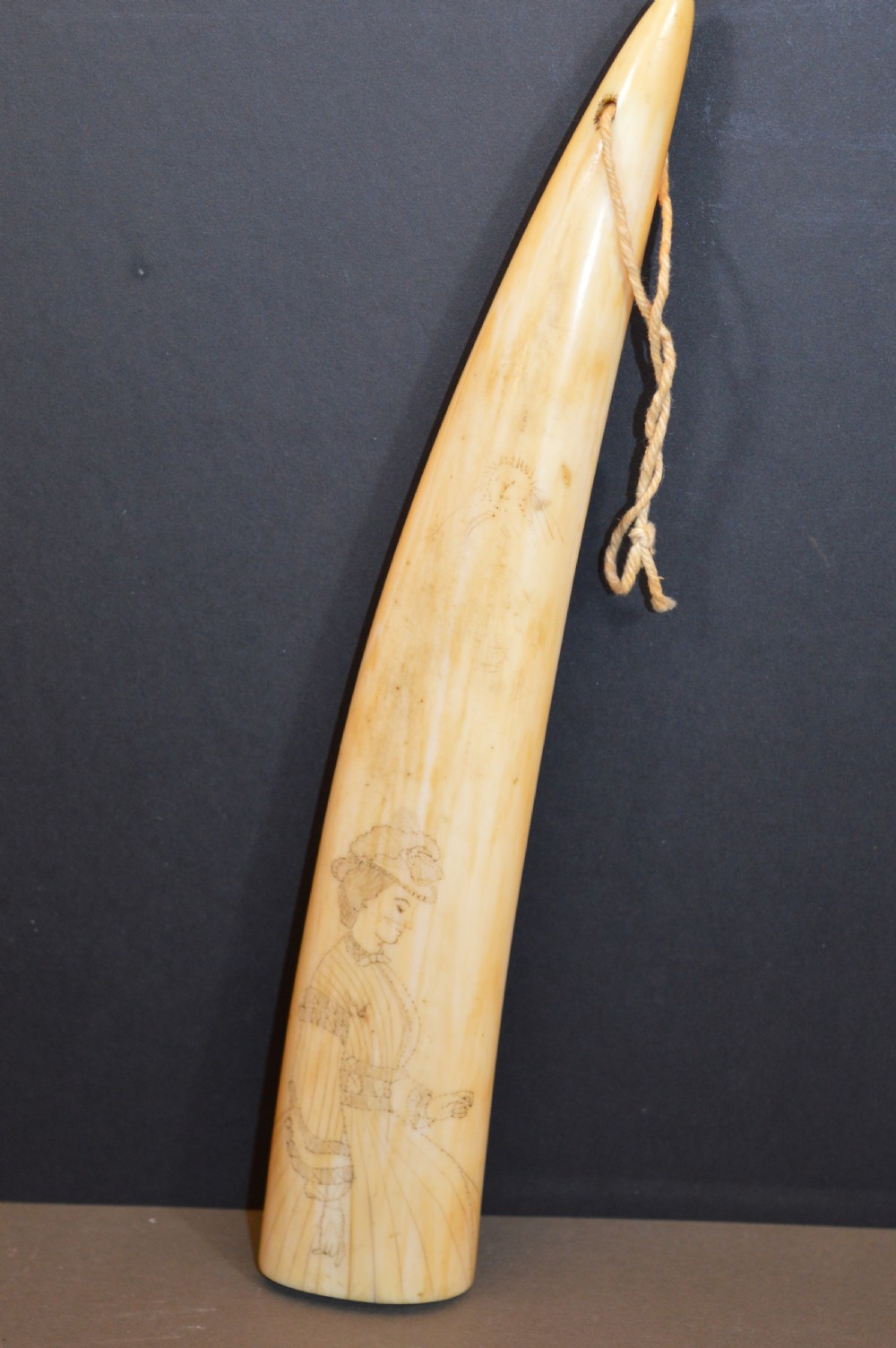 Large Scrimshaw Walrus Tusk,c1870