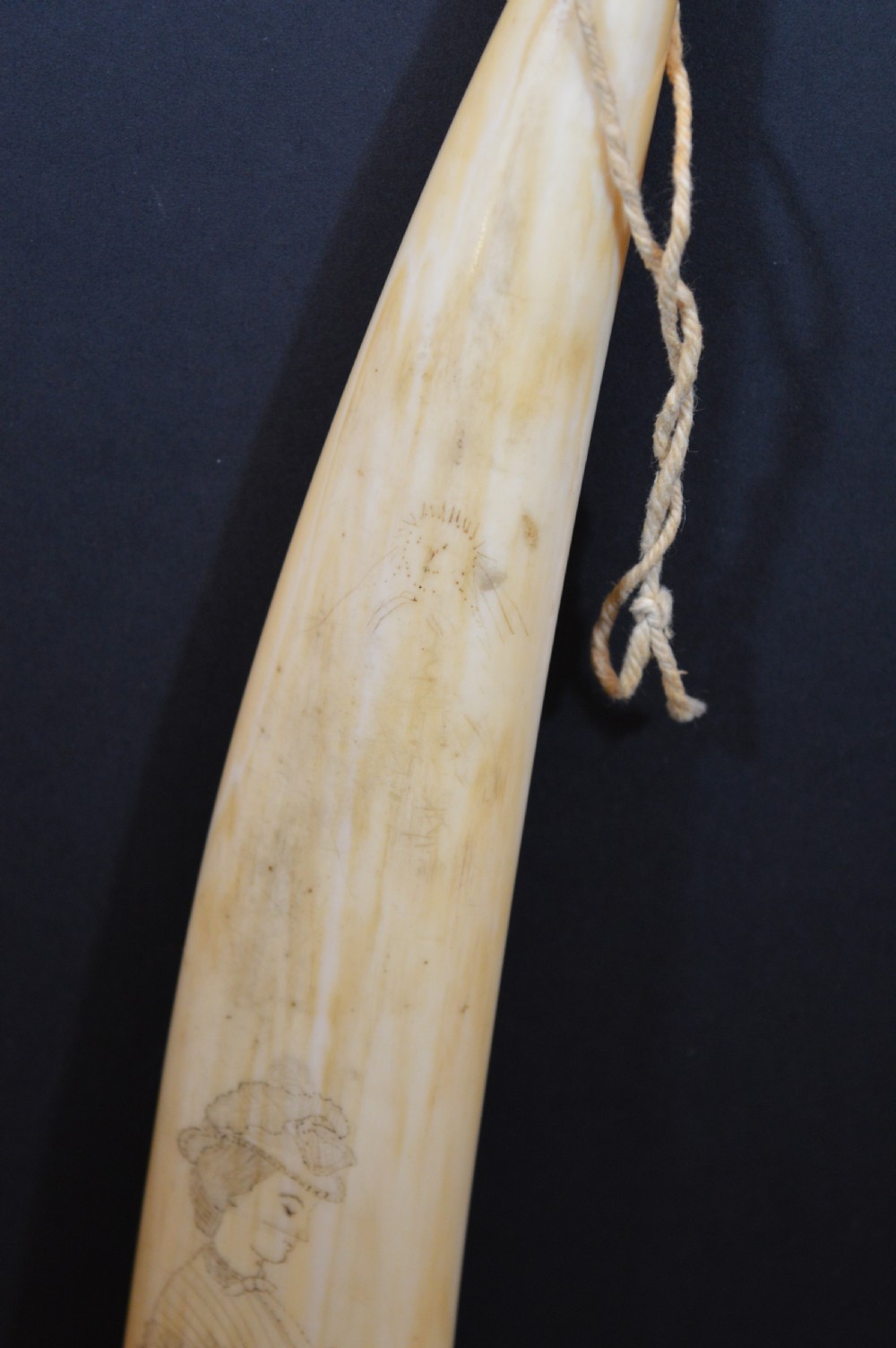 Large Scrimshaw Walrus Tusk,c1870 View III
