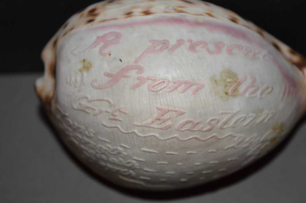 Carved Souvenir Cowrie Shell From Ship SS Great Eastern, c 1860 View VII