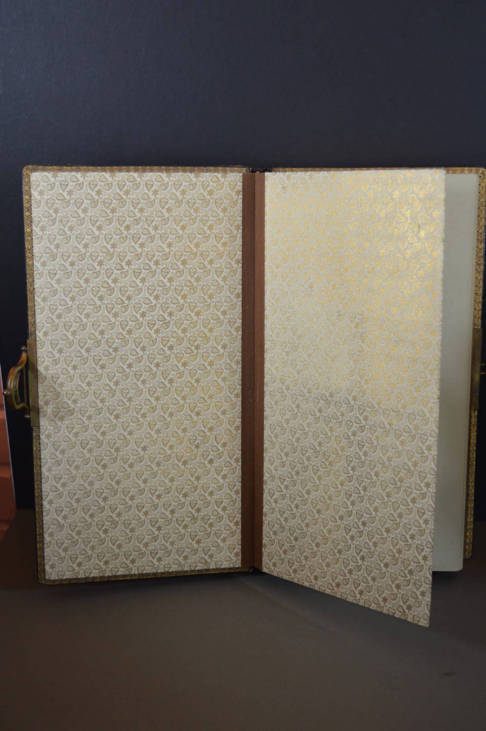 A dark brown Victorian leather photo album featuring embossed leaf motifs along the spine and a brass clasp on the edge. View II